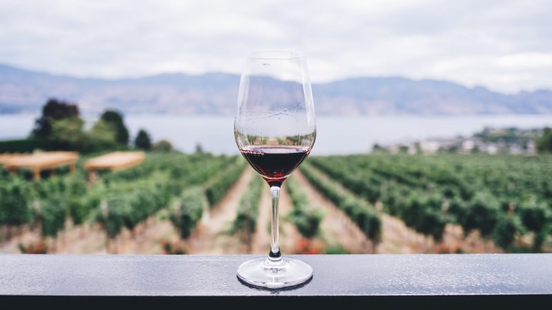 Winoterapia – coś dla ducha oraz ciała