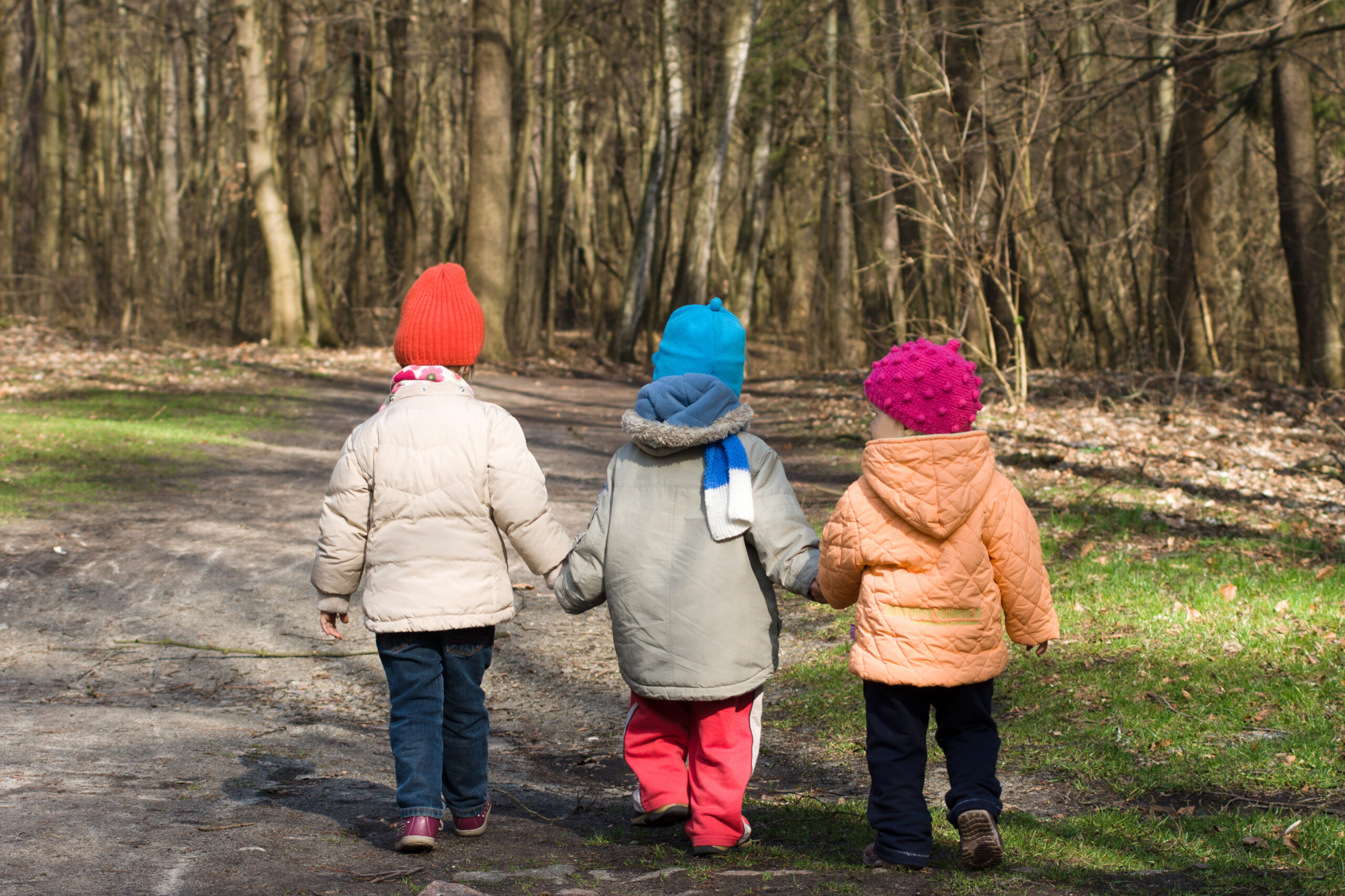 Dzieci na wiosennym spacerze w lesie
